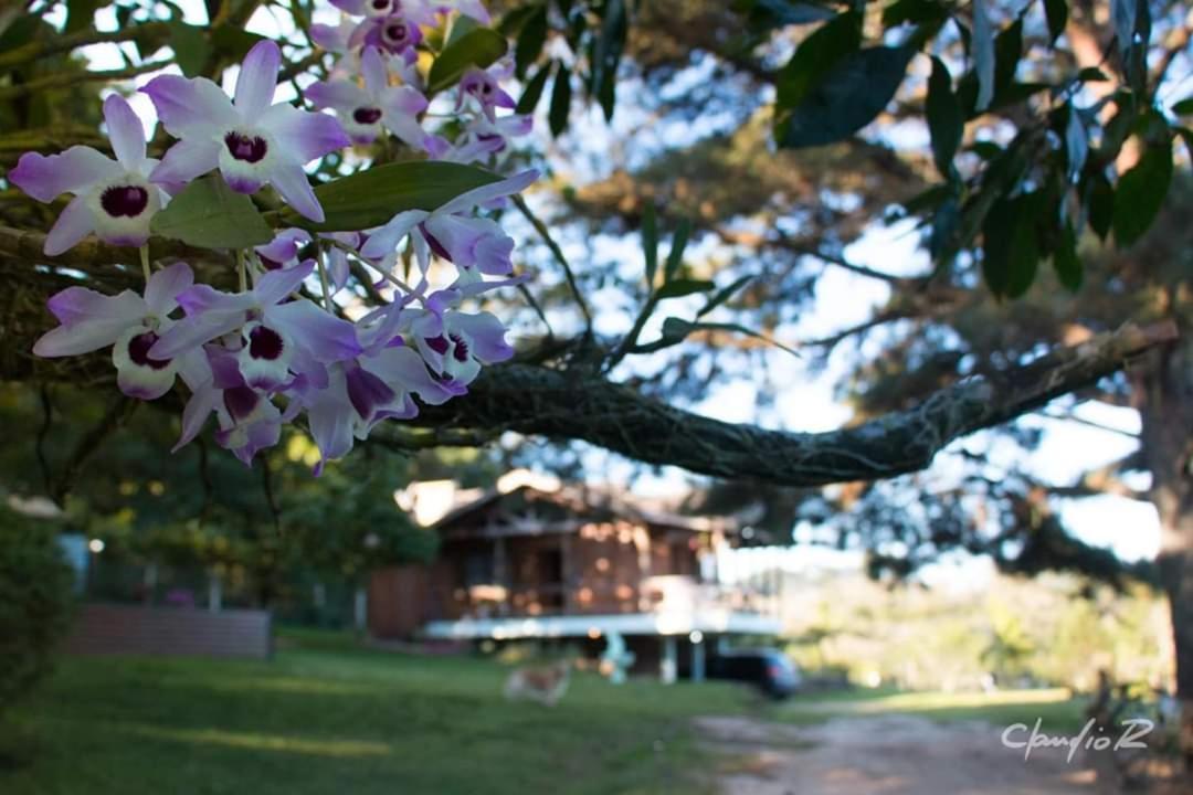 Linda Casa De Campo Viamão Exterior foto